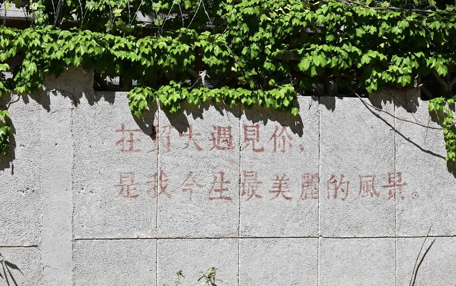 对外经济贸易大学校园